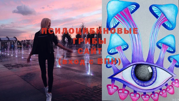 гашик Лихославль