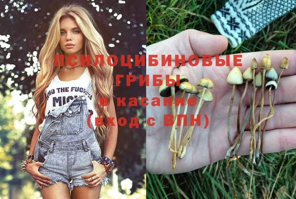 гашик Лихославль