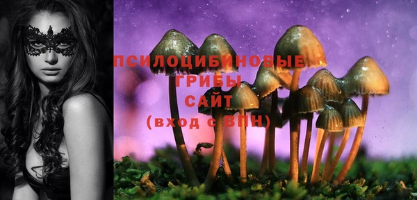 гашик Лихославль