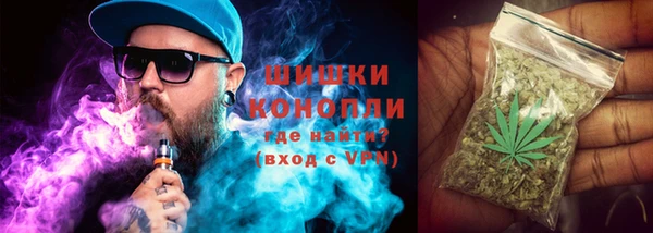 apvp Лиски