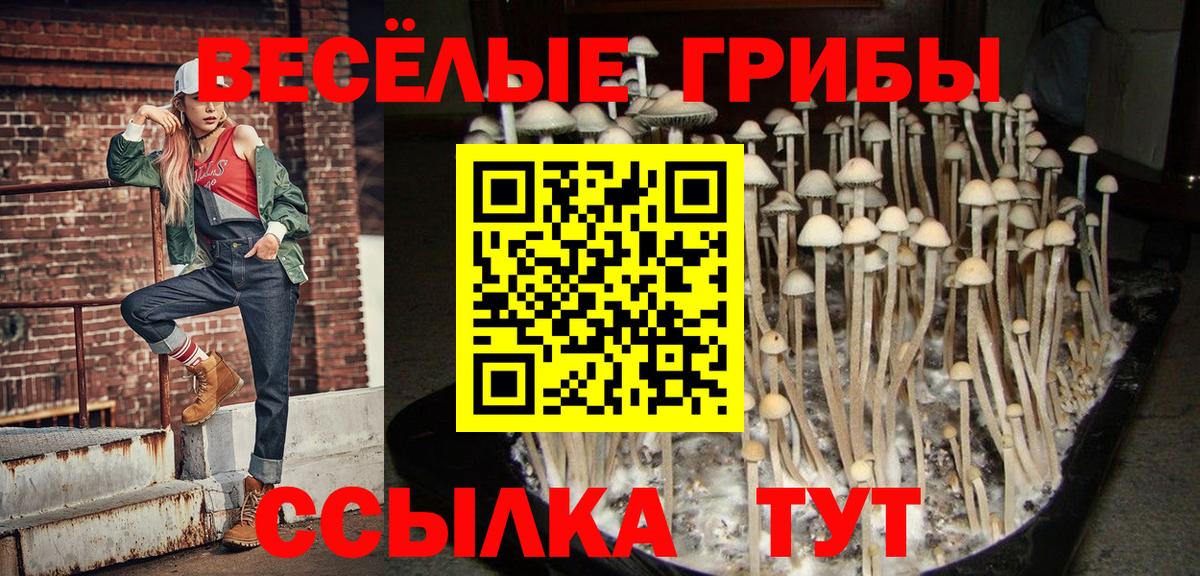 Псилоцибиновые грибы Magic Shrooms Березники