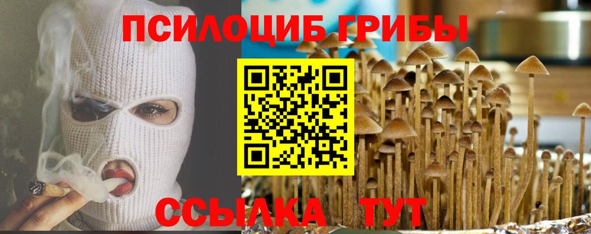 Псилоцибиновые грибы Psilocybe  Березники  Псилоцибиновые грибы ЛСД 