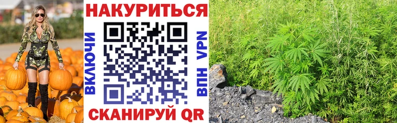 закладки  Березники  Шишки марихуана SATIVA & INDICA 