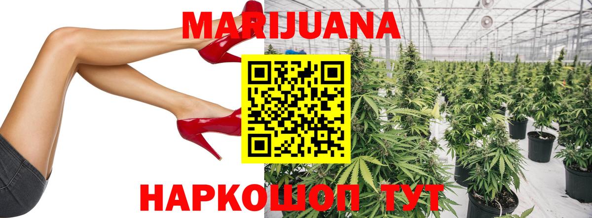 Конопля семена Березники